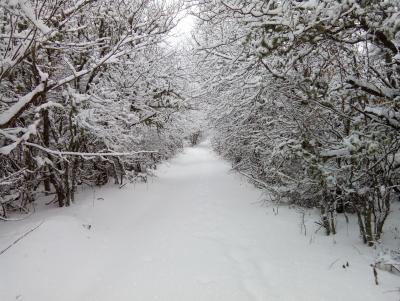 Прикрепленное изображение: IMG_20150110_155206.jpg